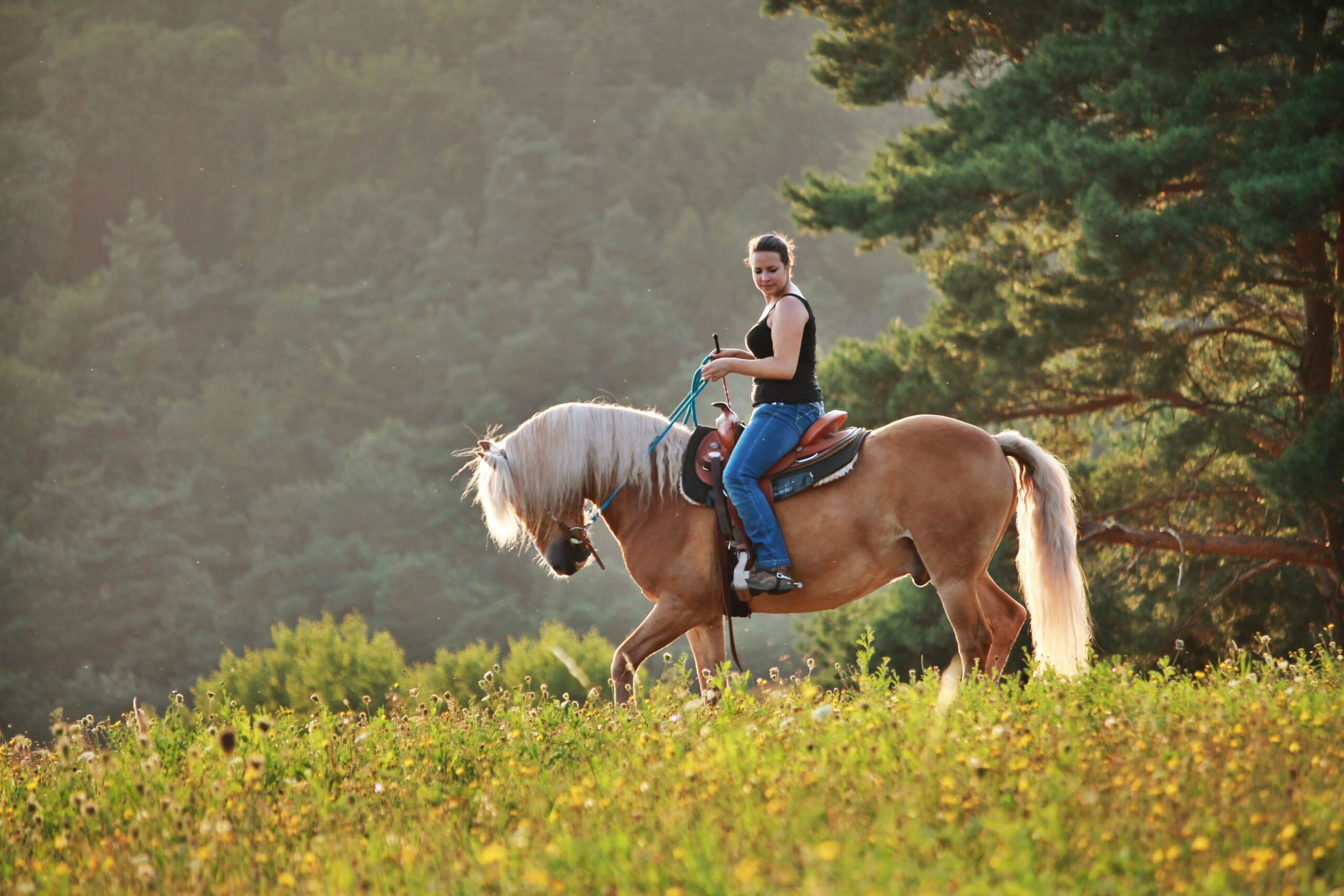 IMG_4808 Eva Völker
