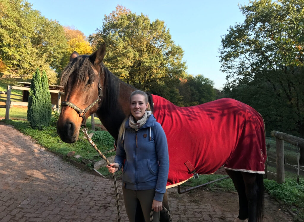 Erfahrung Troublefree Horsemanship