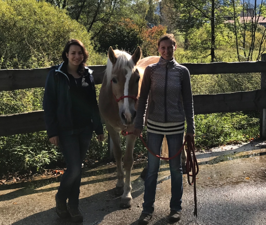 Erfahrung Troublefree Horsemanship