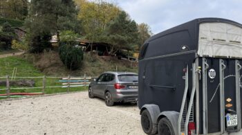 Fehler beim Verladen von Pferden