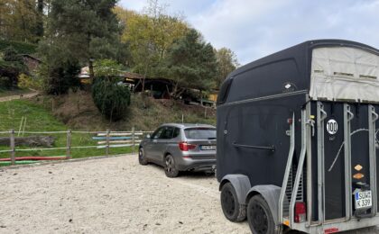 Fehler beim Verladen von Pferden