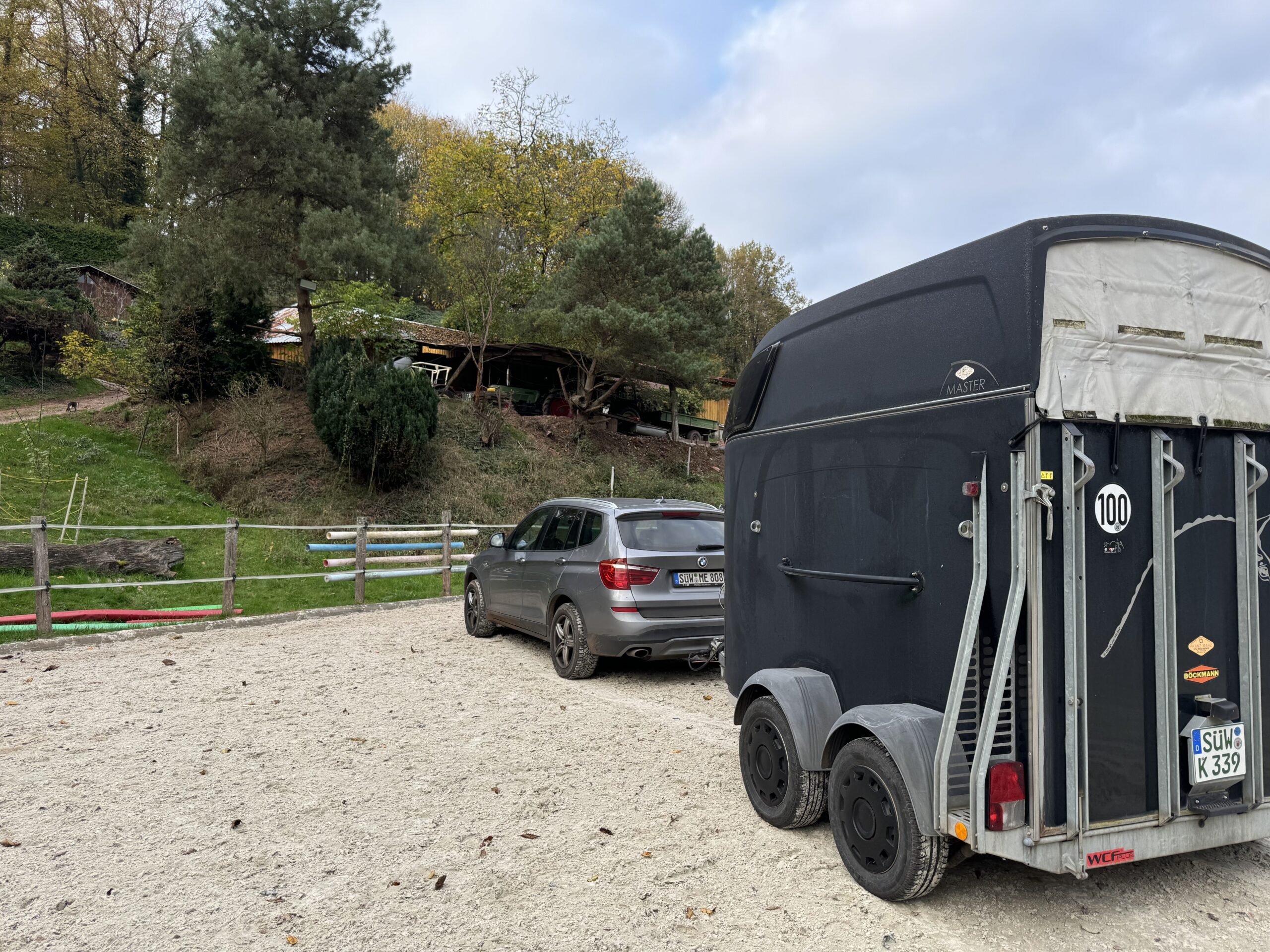 Pferd geht nicht in den Hänger – 4 Schritte zur Lösung