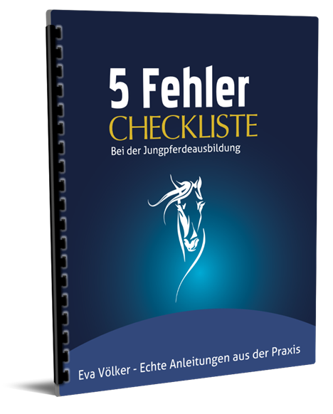 5 Fehler Jungpferdeausbildung