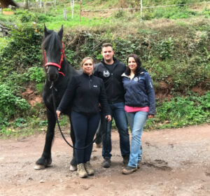 Erfahrung Troublefree Horsemanship